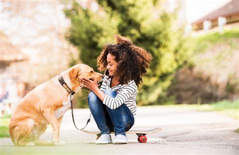 Teaching Children How to Safely Interact With Dogs