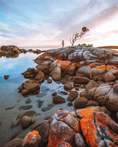 Bay Of Fires Tasmania Get A List Of The Most Beautiful Places In