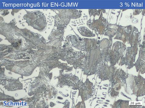 Temperrohguß für EN GJMW Schmitz Metallographie GmbH