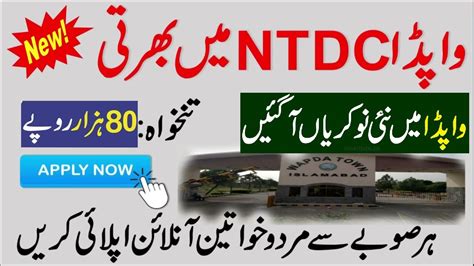 1000 Vacancies WAPDA NTDC Jobs 2024 Advertisement