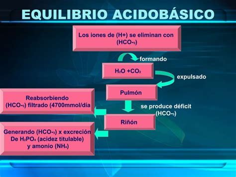 Equilibrio Acido Base Ppt