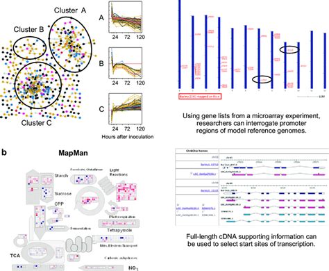 Bioinformatic Tools For The Analysis Of Microarray Data A