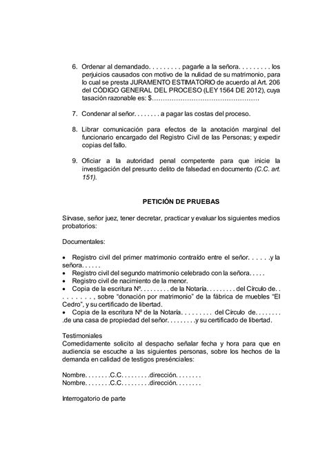 Nulidad Matrimonio Civil Ley 1564 De 2012 PDF