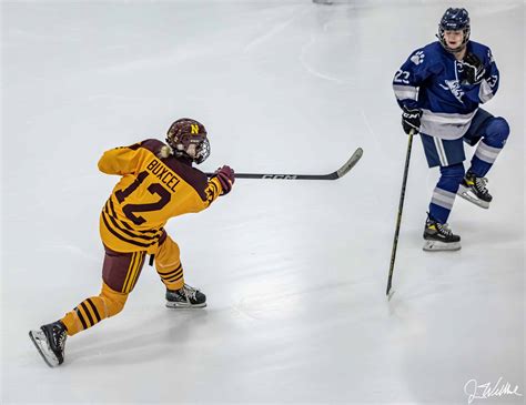 Girls Hockey Takes Down Dodge County - NorthfieldLive