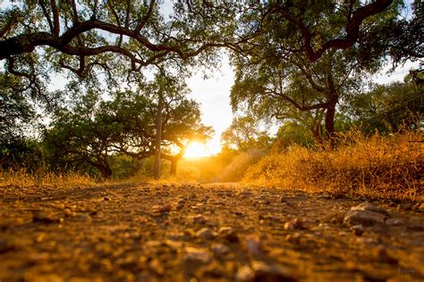 Trekking Tours in Alentejo - Corktrekking