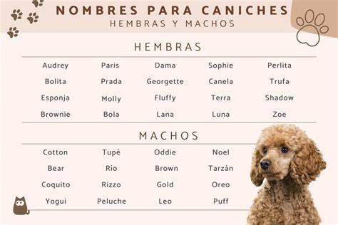 Nombres Rudos Para Tu Hijo Que Lo Har N Destacar