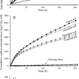 Raw Cumulative Carbon Mineralization Obtained For Each A Litter Type