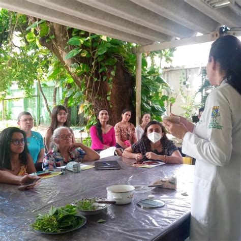 Projeto Oficinas De Plantas Medicinais Do Horto Prof F J A Matos