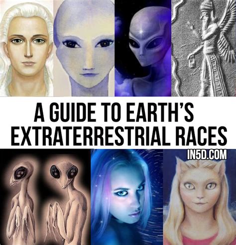 A Guide To Earths Extraterrestrial Races Stillness In The Storm