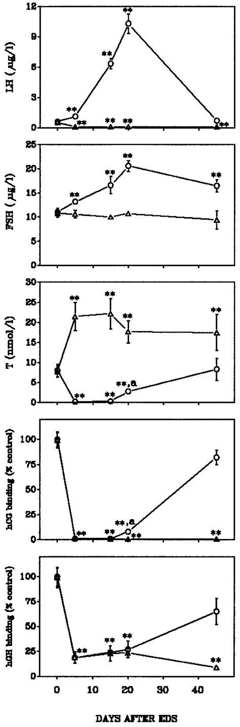 Serum Lh Fsh And T Levels Testicular 125 I Iodo Hcg Binding As