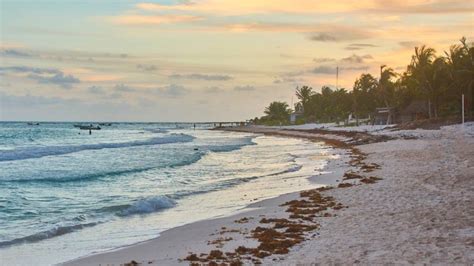 Best Playa Del Carmen Beaches To Visit In Yunglava