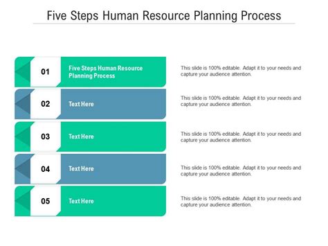 Five Steps Human Resource Planning Process Ppt Powerpoint Presentation