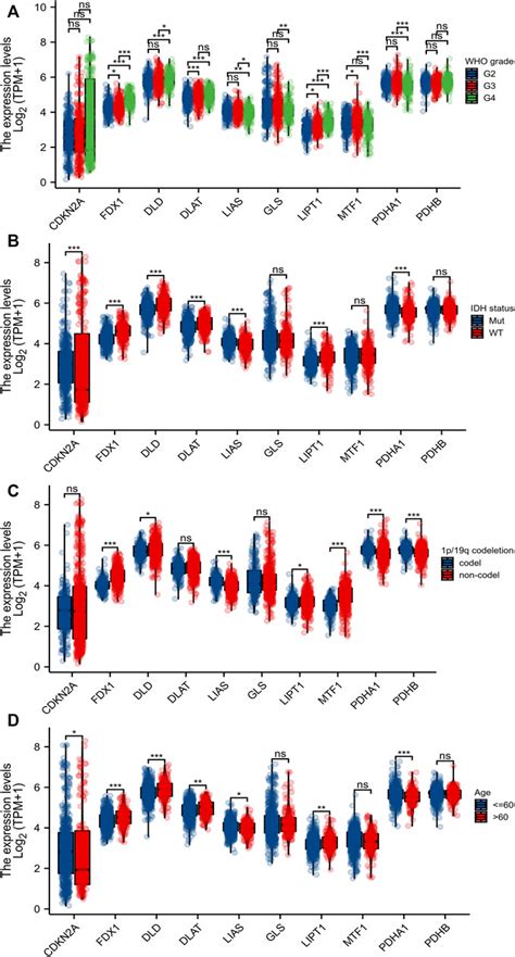 Frontiers A Novel Prognostic Signature Of Cuproptosis Related Genes