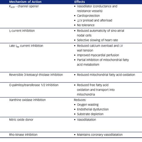 Second And Third Line Anti Anginal Medication Above Beta Blockers And