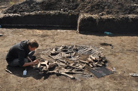 Niezwykłe Odkrycie Archeologów W Dębianach W Gminie Działoszyce Zanamy