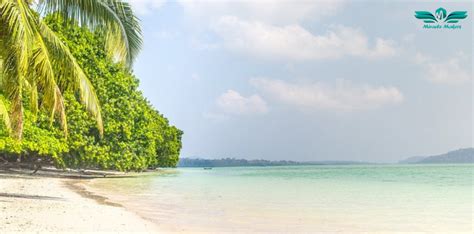 Best Selling Andaman Tour Package Havelock Special Miracle Makerz