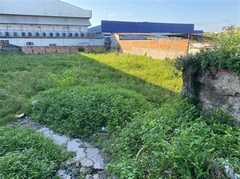 Viol Ncia Homem Encontrado Morto Em Matagal Na Zona Leste De Manaus