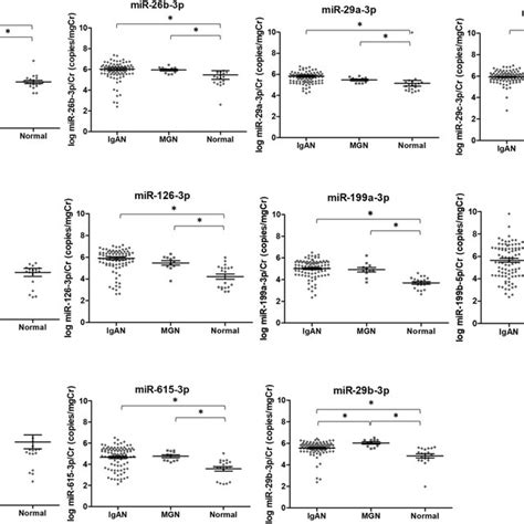 The Levels Of Urinary Exosomal Mirnas According To Igan Mgn And