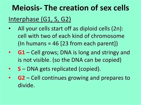 Unit 4a Cell Division Mitosis Ppt Download