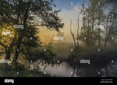 Beautiful Misty Dawn At The Small River Stock Photo Alamy