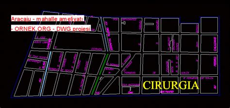 Aracaju mahalle ameliyatı dwg projesi Autocad Projeler