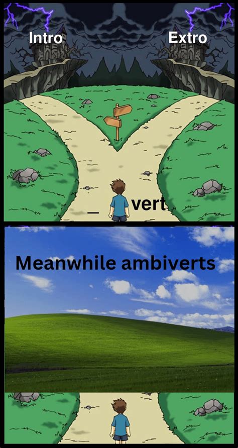 Ambiverts Meme By Starlost Memedroid