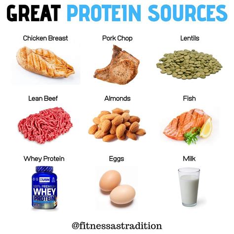 Sources Of Proteins