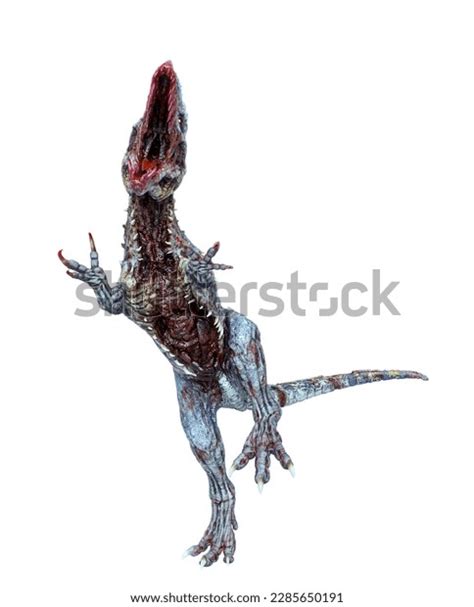 Giganotosaurus Zombie Fighting Pose On Front Stock Illustration 2285650191 Shutterstock