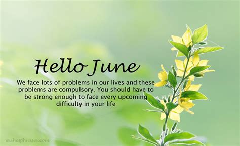 June Month Birthday Quotes - ShortQuotes.cc