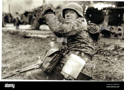 Waffen ss Fotos und Bildmaterial in hoher Auflösung Alamy