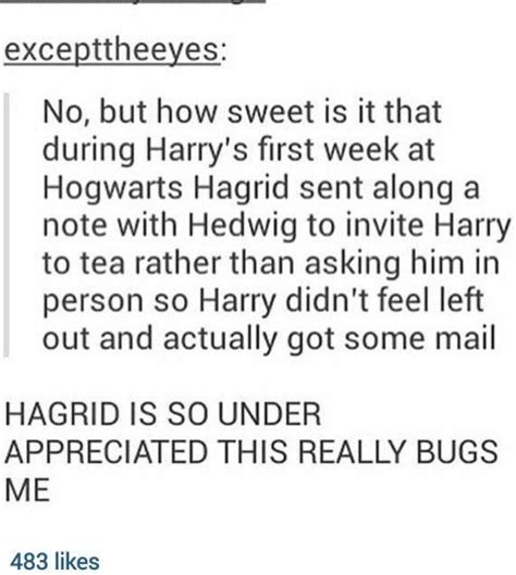Pin By Isabella Dunn On Harry Potter Sassy Harry Potter Gay Harry Potter Harry Potter