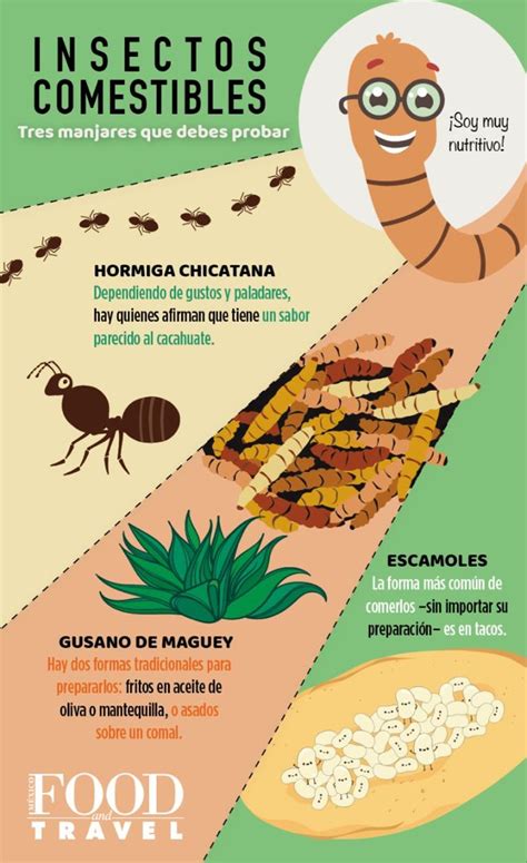 An Info Poster Showing The Different Types Of Insects And How They Can