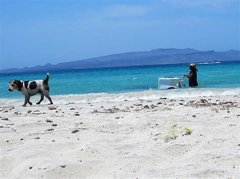 The Finest Beaches In La Paz, Mexico - This Way To Paradise-Beaches, Islands, And Travel