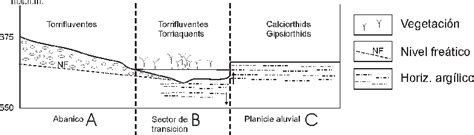 Corte esquemático Download Scientific Diagram