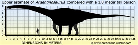 Image - Argentinosaurus-size.jpg | Fossil Fighters Wiki | FANDOM ...