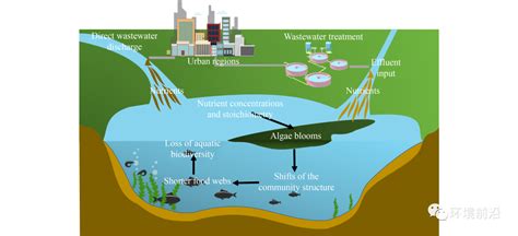 Fese 前沿睿见：呼吁关注污水处理厂出水的受纳水体营养盐化学计量失衡及其水生态风险 神州学人网