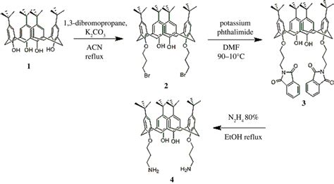 Synthesis Route Of 1 3 Diamine Derivative Of P Tert Butylcalix 4 Arenen