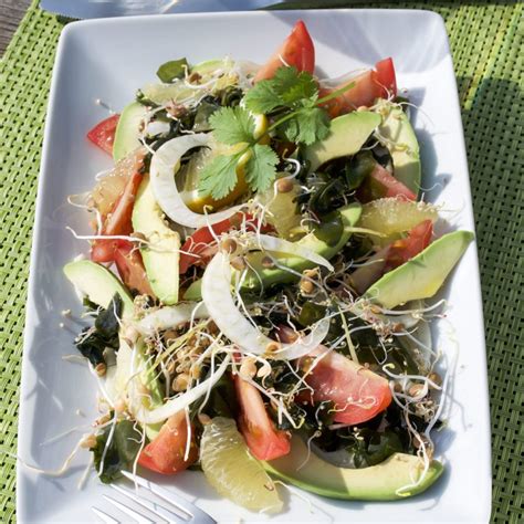 Salade D Algues Wakame Au Fenouil Sequoia