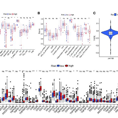 Risk Signature Related Immune Landscapes A B Differences In Scores