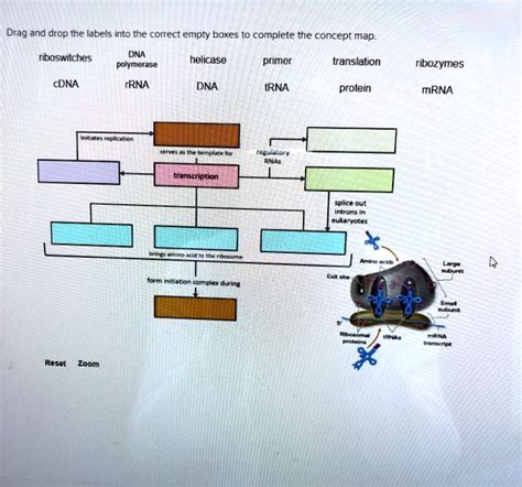 Drag And Drop The Labels Into The Correct Empty Boxes To Complete The