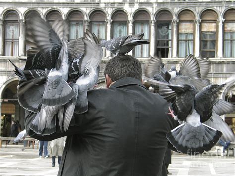 Pigeons Venice Photograph By Bernard Jaubert Fine Art America