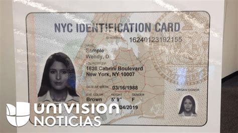 Indocumentados En Nueva York Tendrán Prioridad Al Solicitar La Identificación Municipal Youtube