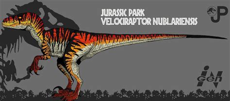 Velociraptor nublariensis (Updated info and art !) by Hellraptor on ...