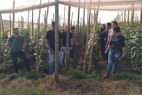 UENP abre inscrições do vestibular para curso de Tecnologia em Fruticultura