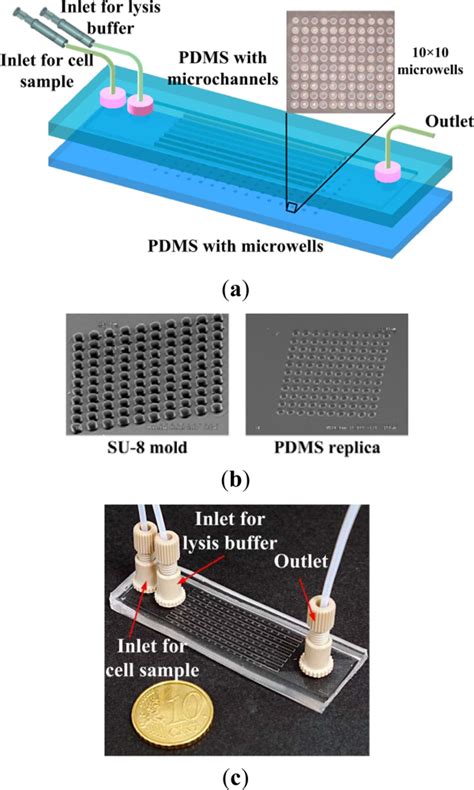 Sensors Free Full Text Single Cell Chemical Lysis On Microfluidic