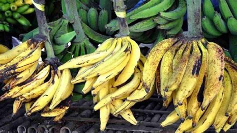 Jual Buah Pisang Tanduk Di Seller Cmf Shop Randusari Kota Semarang