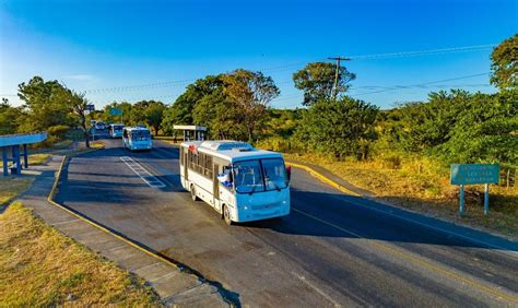 Tras Medio A O De Promesas Llegan A Nicaragua Buses Rusos Para Reforzar