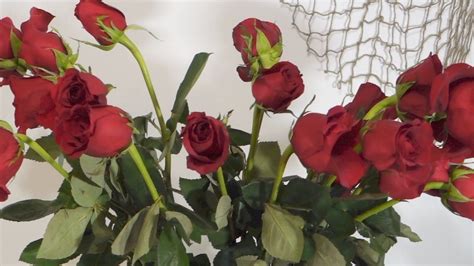 How to revive wilted roses Very hot water (like you wash dishes with ...