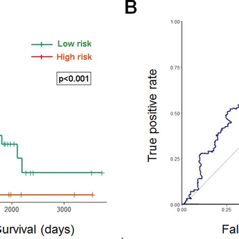 KaplanMeier And ROC Curves For The Eight MiRNA Signature In STAD