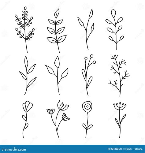 Collection of Minimalistic Simple Floral Elements. Graphic Sketch ...